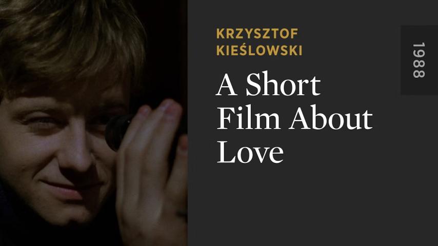 مشاهدة فيلم A Short Film About Love (1988) مترجم