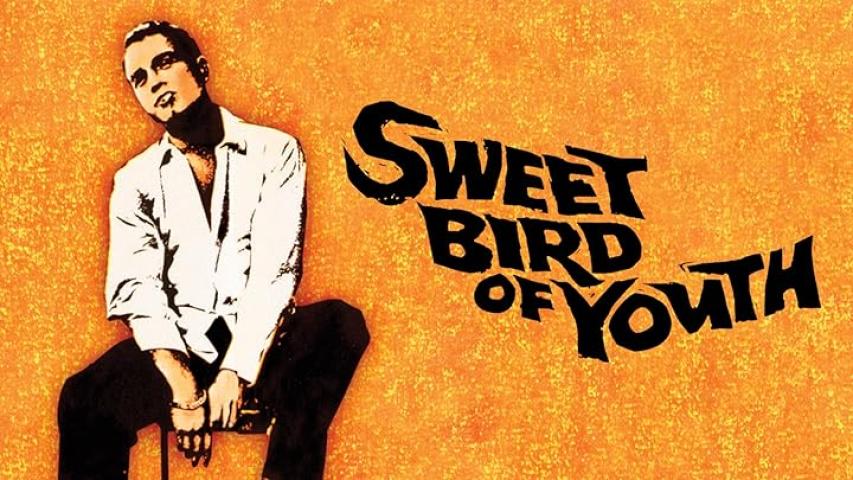 مشاهدة فيلم Sweet Bird of Youth (1962) مترجم