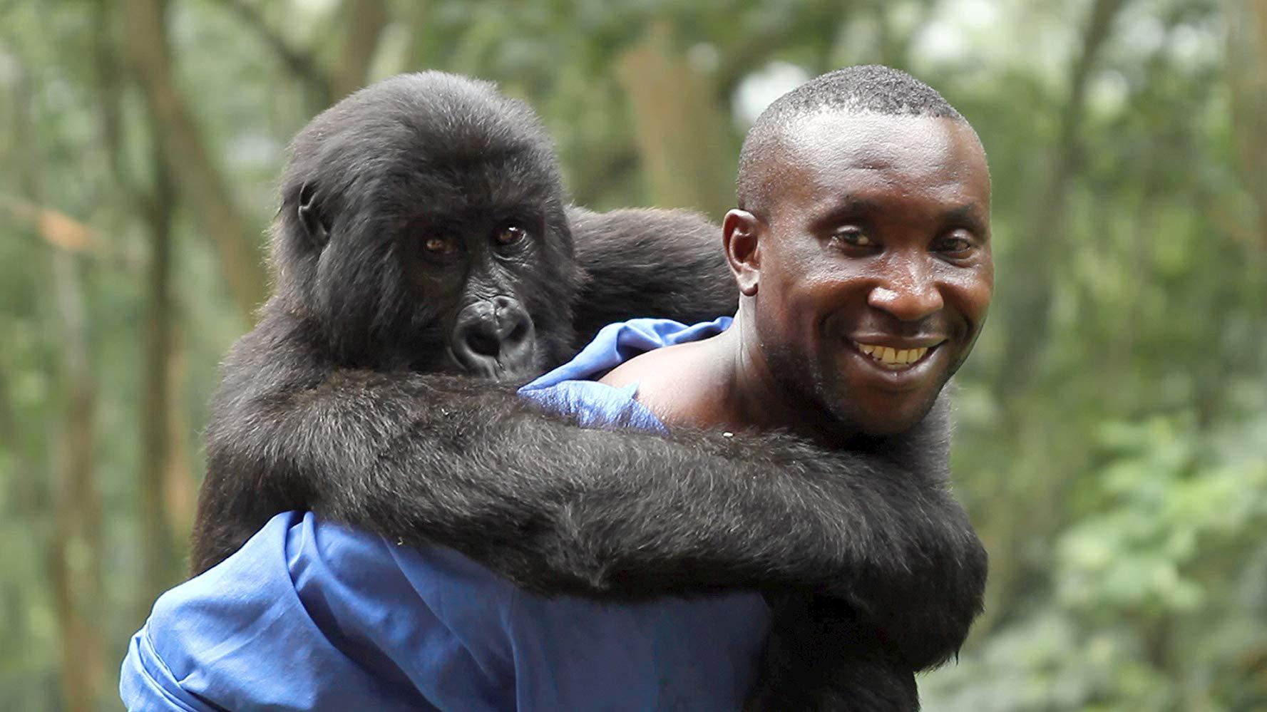 مشاهدة فيلم Virunga (2014) مترجم