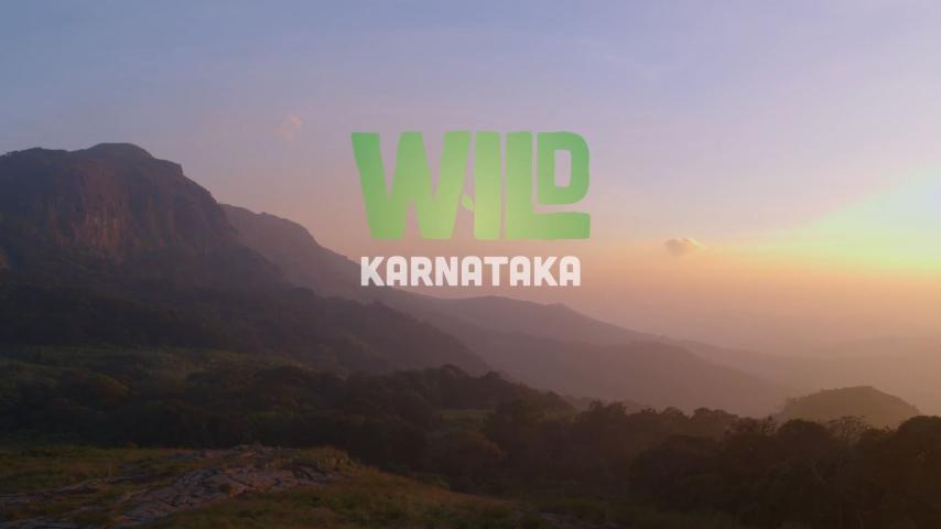 مشاهدة فيلم Wild Karnataka (2019) مترجم