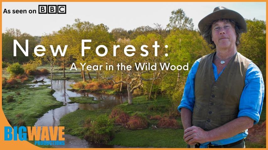 مشاهدة فيلم New Forest: A Year in the Wild Wood (2019) مترجم