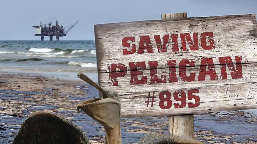 مشاهدة فيلم Saving Pelican 895 (2011) مترجم