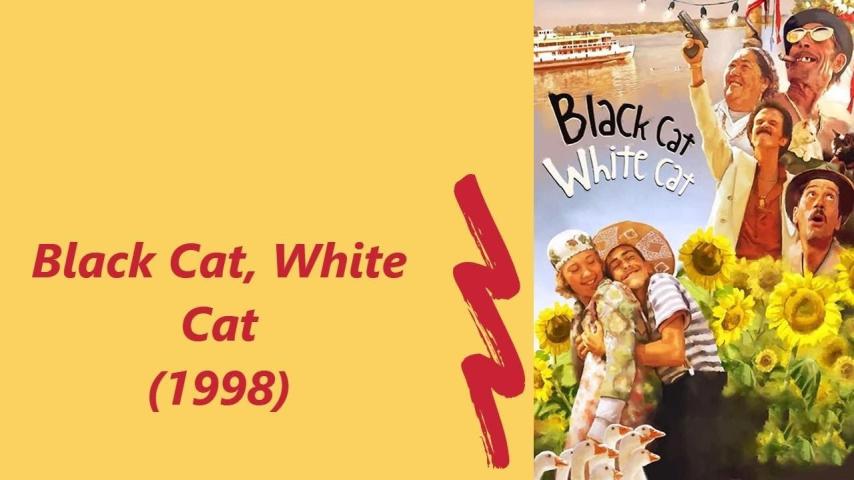 مشاهدة فيلم Black Cat, White Cat (1998) مترجم