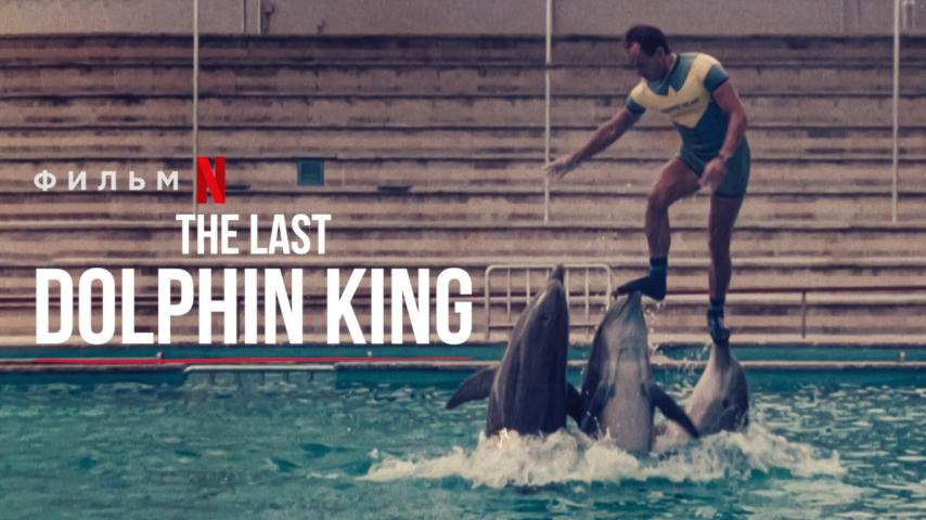 مشاهدة فيلم The Last Dolphin King (2022) مترجم