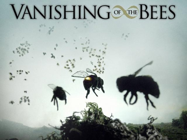 مشاهدة فيلم Vanishing of the Bees (2009) مترجم