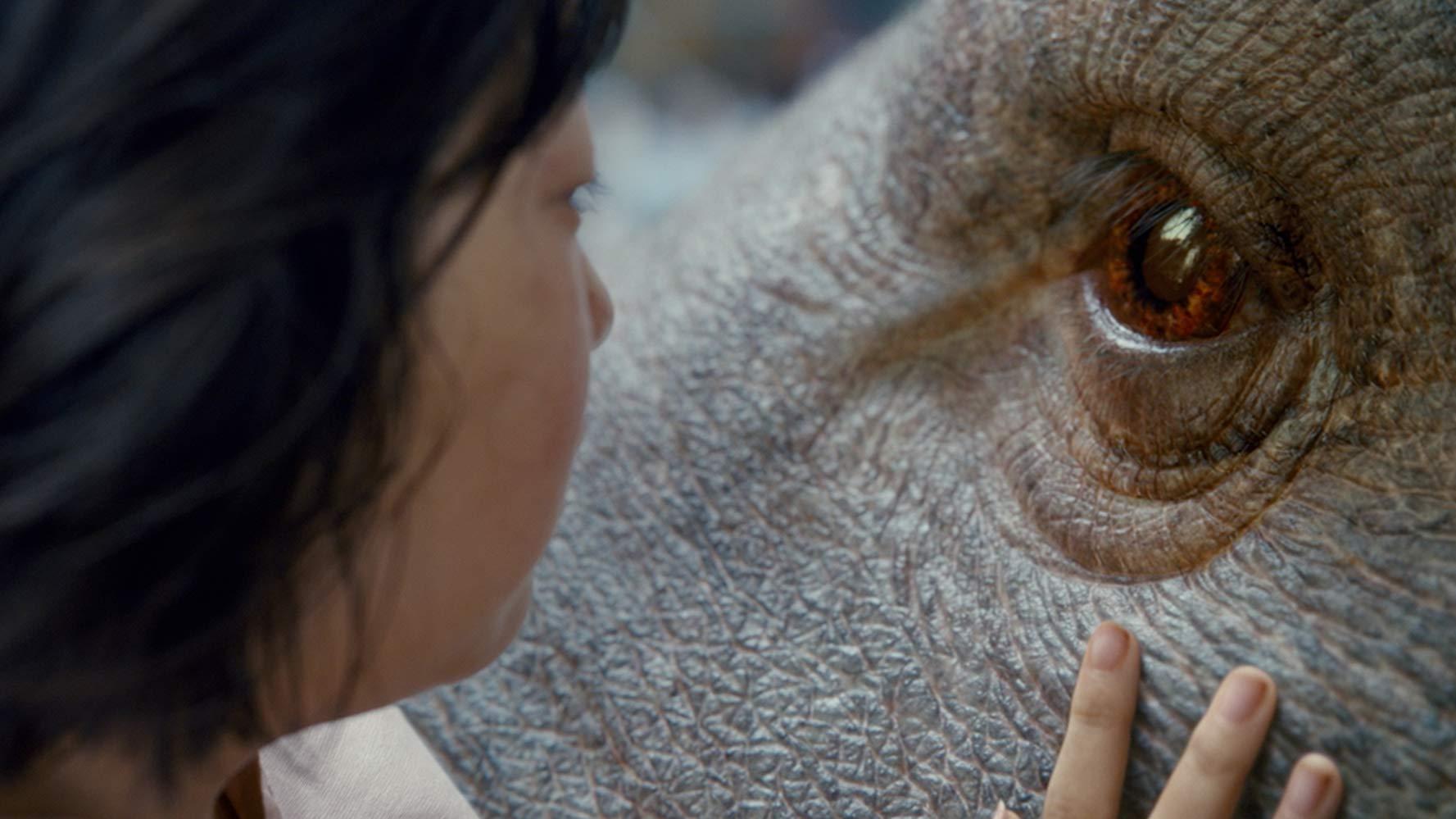 مشاهدة فيلم Okja (2017) مترجم