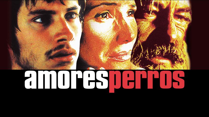 مشاهدة فيلم Amores Perros 2000 مترجم