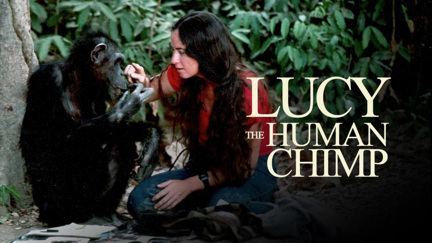 مشاهدة فيلم Lucy, the Human Chimp (2021) مترجم