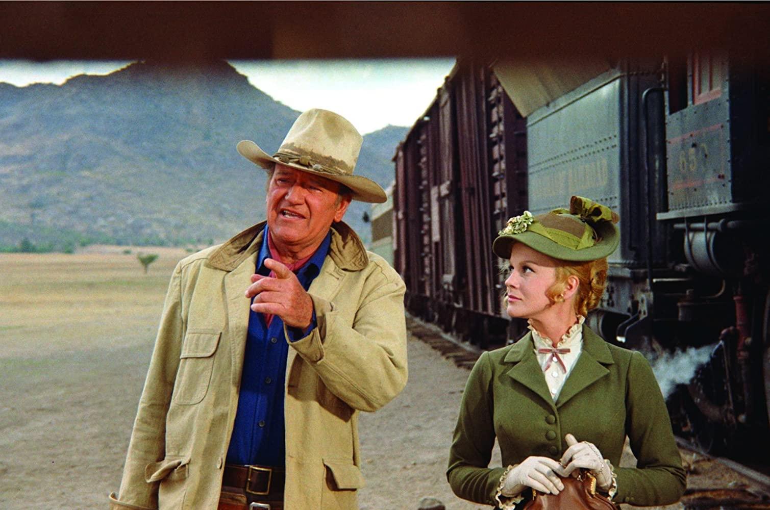 مشاهدة فيلم The Train Robbers (1973) مترجم