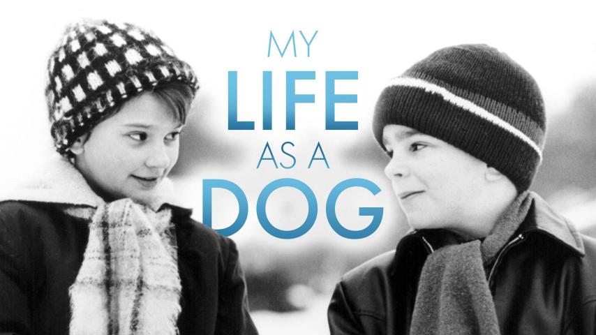 مشاهدة فيلم My Life as a Dog (1985) مترجم