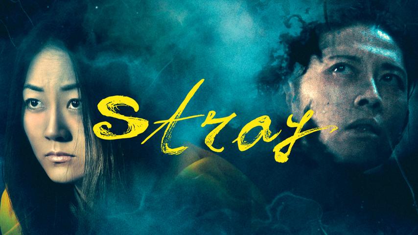 مشاهدة فيلم Stray (2019) مترجم