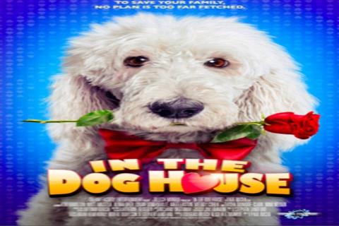 مشاهدة فيلم In the Dog House (2014) مترجم