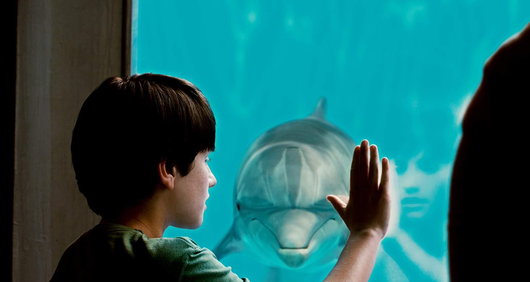 مشاهدة فيلم Dolphin Tale (2011) مترجم