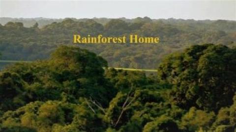 مشاهدة فيلم Rainforest Home (2020) مترجم