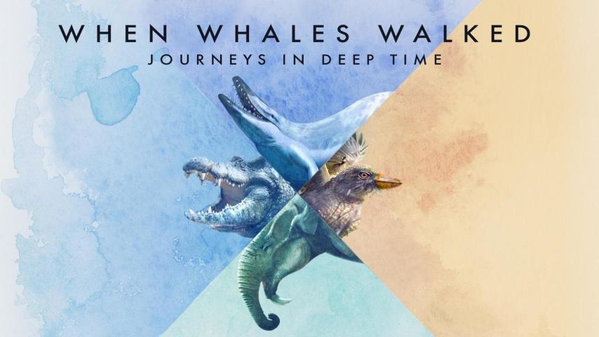 مشاهدة فيلم When Whales Walked: Journeys in Deep Time 2019 مترجم