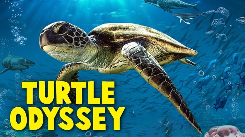 مشاهدة فيلم Turtle Odyssey (2018) مترجم