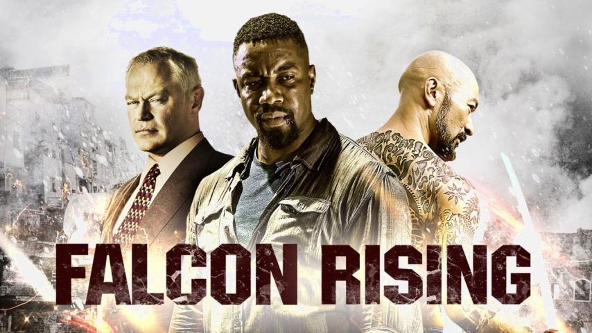 مشاهدة فيلم Falcon Rising (2014) مترجم