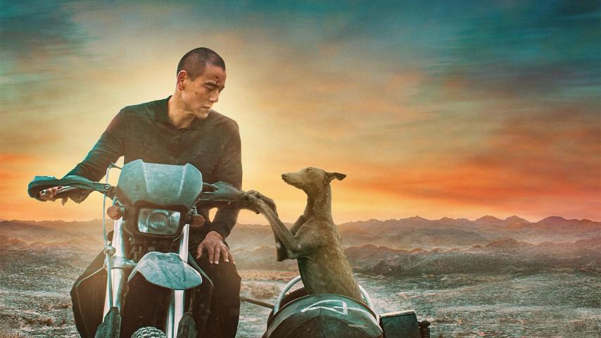مشاهدة فيلم Black Dog 2024 مترجم