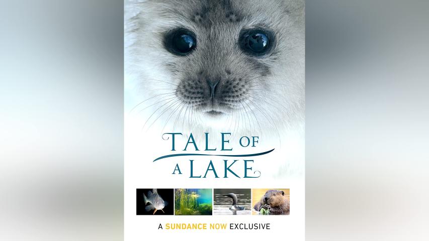 مشاهدة فيلم Tale Of A Lake (2016) مترجم