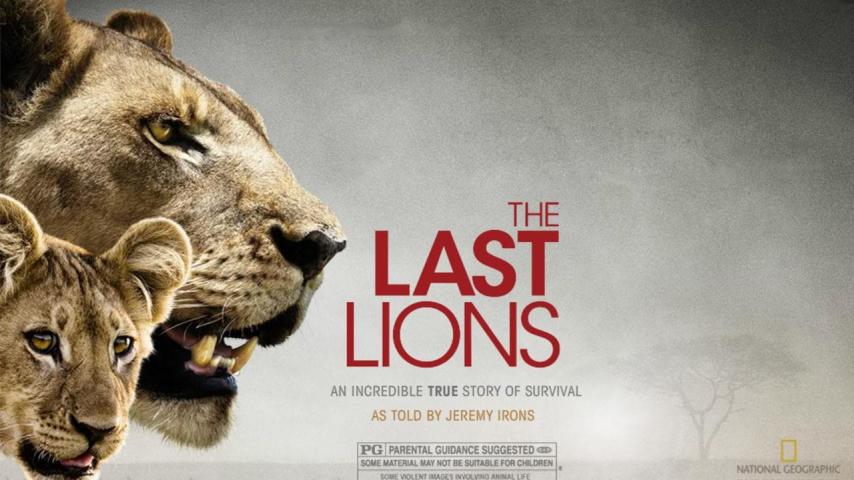 مشاهدة فيلم The Last Lions (2011) مترجم