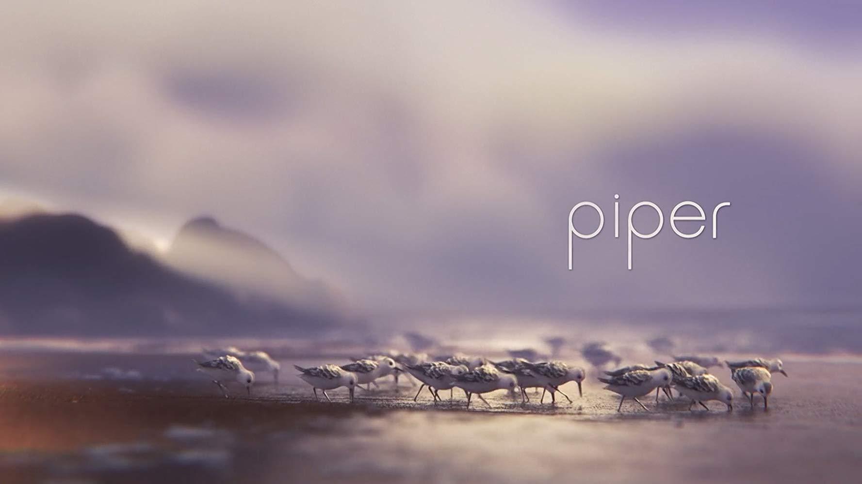 مشاهدة فيلم Piper (2016) مترجم