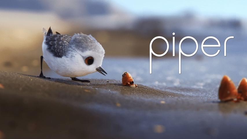 مشاهدة فيلم Piper (2016) مترجم