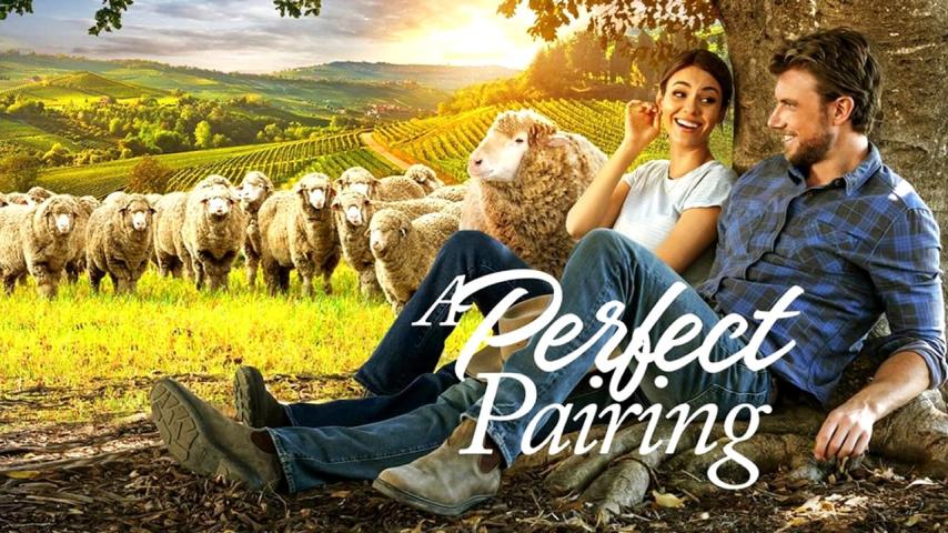 مشاهدة فيلم A Perfect Pairing (2022) مترجم