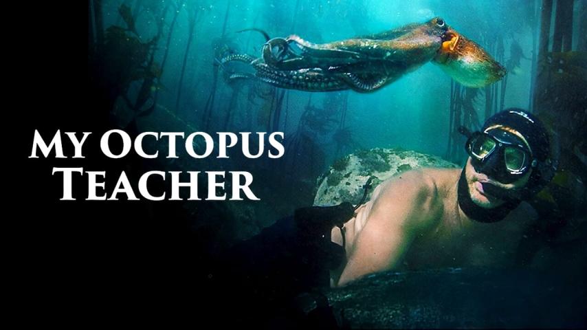 مشاهدة فيلم My Octopus Teacher (2020) مترجم