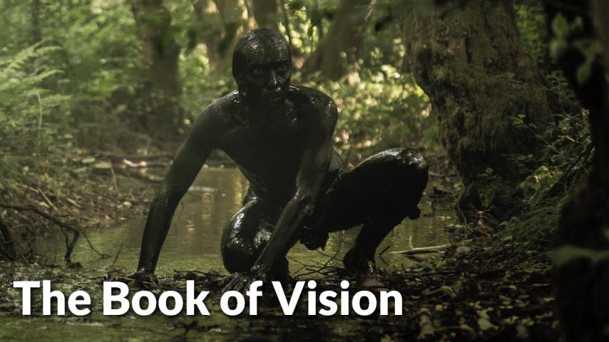 مشاهدة فيلم The Book of Vision 2020 مترجم