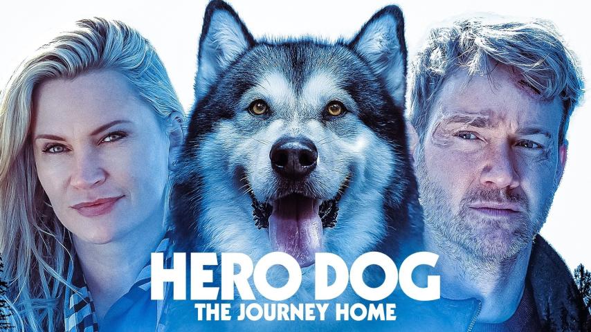 مشاهدة فيلم Hero Dog: The Journey Home (2021) مترجم