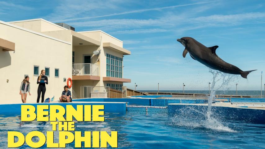 مشاهدة فيلم Bernie The Dolphin (2018) مترجم