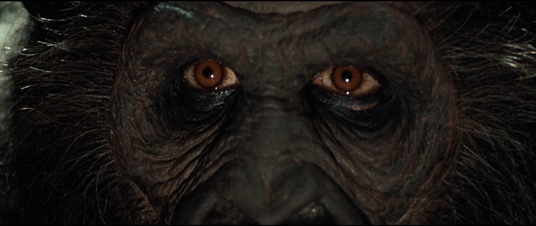 مشاهدة فيلم Greystoke- The Legend of Tarzan, Lord of the Apes (1984) مترجم
