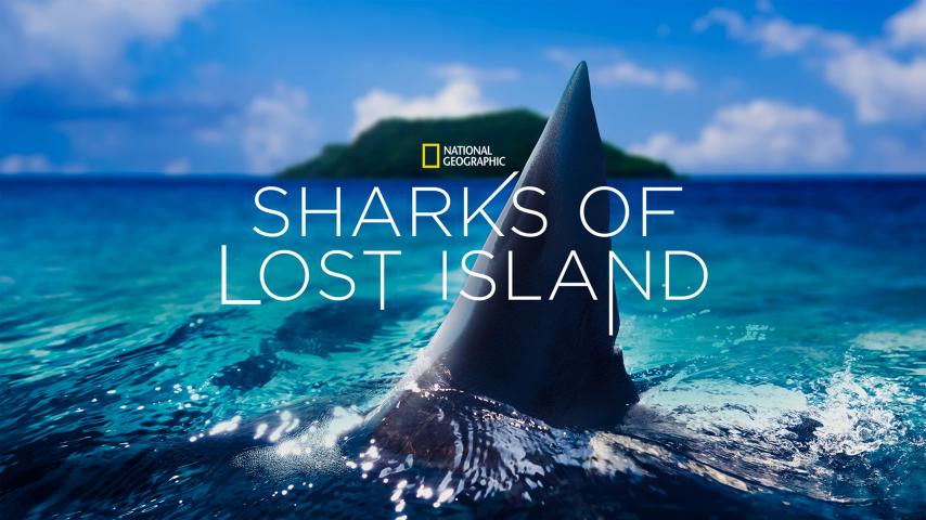 مشاهدة فيلم Sharks of Lost Island (2013) مترجم