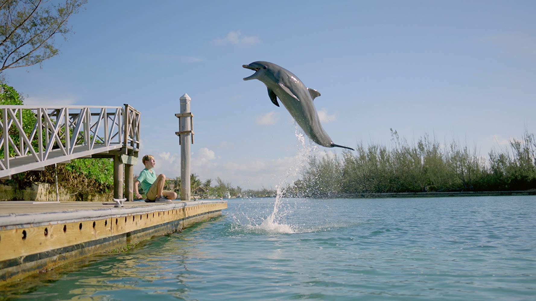 مشاهدة فيلم Dolphin Kick (2019) مترجم