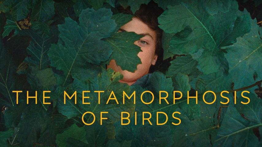 مشاهدة فيلم The Metamorphosis of Birds (2020) مترجم