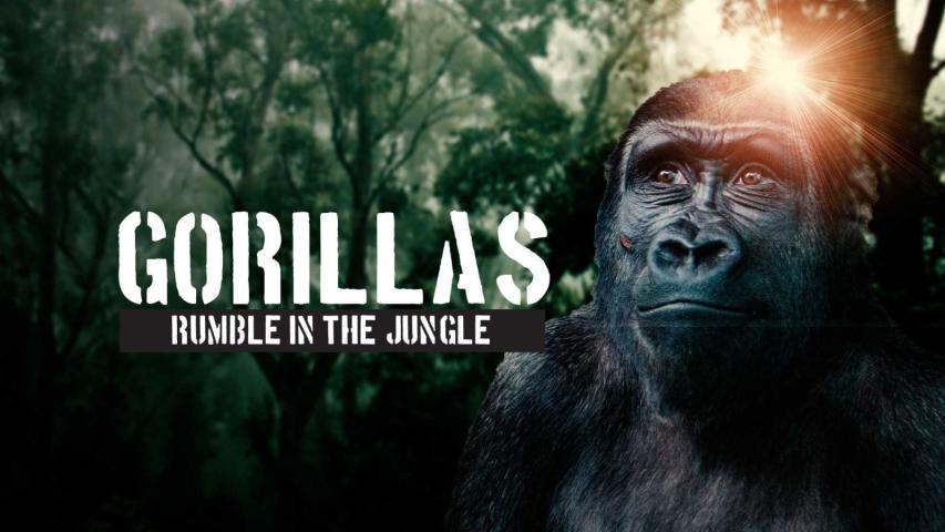 مشاهدة فيلم Gorillas: Rumble in the Jungle (2020) مترجم