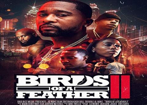مشاهدة فيلم Birds of a Feather 2 (2018) مترجم