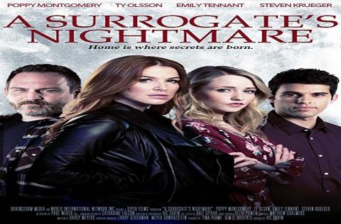 مشاهدة فيلم A Surrogate's Nightmare (2017) مترجم