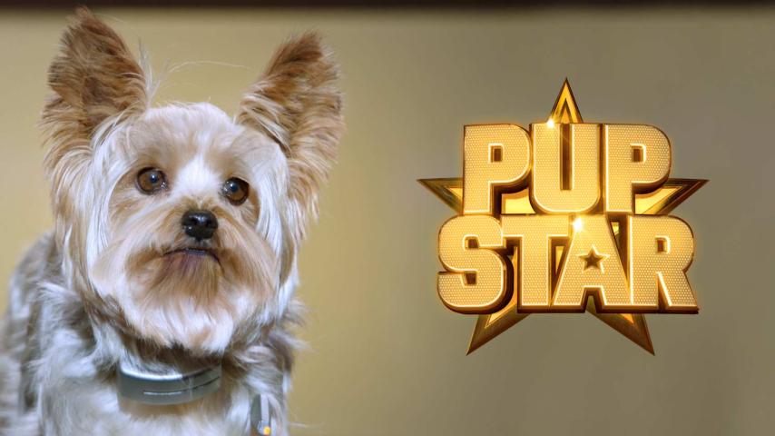 مشاهدة فيلم Pup Star (2016) مترجم