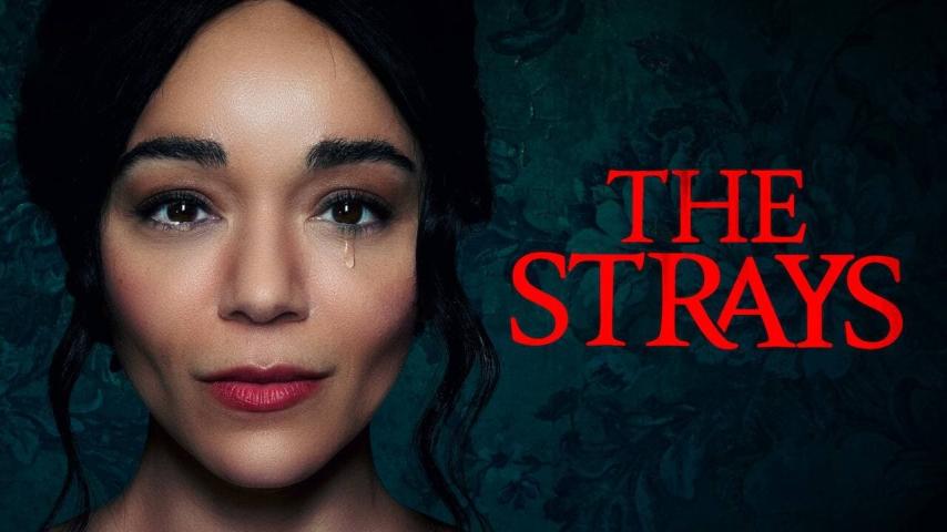 مشاهدة فيلم The Strays (2023) مترجم