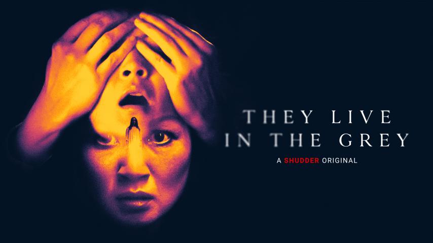 مشاهدة فيلم They Live in the Grey 2022 مترجم
