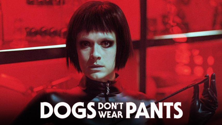 مشاهدة فيلم Dogs Dont Wear Pants (2019) مترجم
