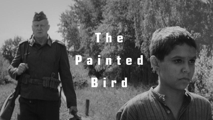مشاهدة فيلم The Painted Bird (2019) مترجم