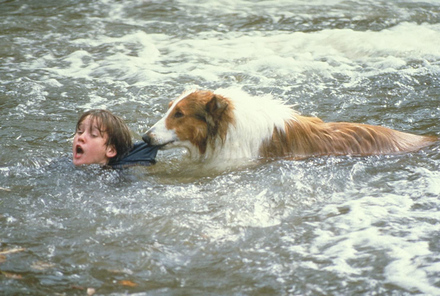 مشاهدة فيلم Lassie (2005) مترجم