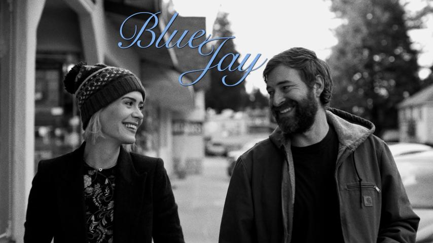 مشاهدة فيلم Blue Jay (2016) مترجم