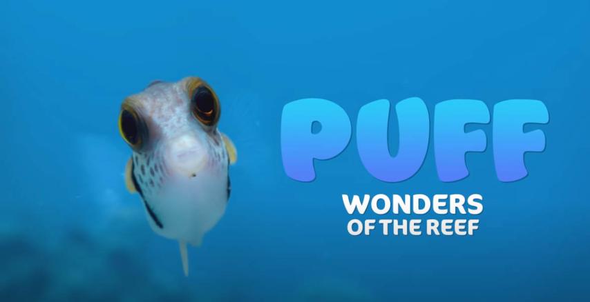 مشاهدة فيلم Puff: Wonders of the Reef 2021 مترجم