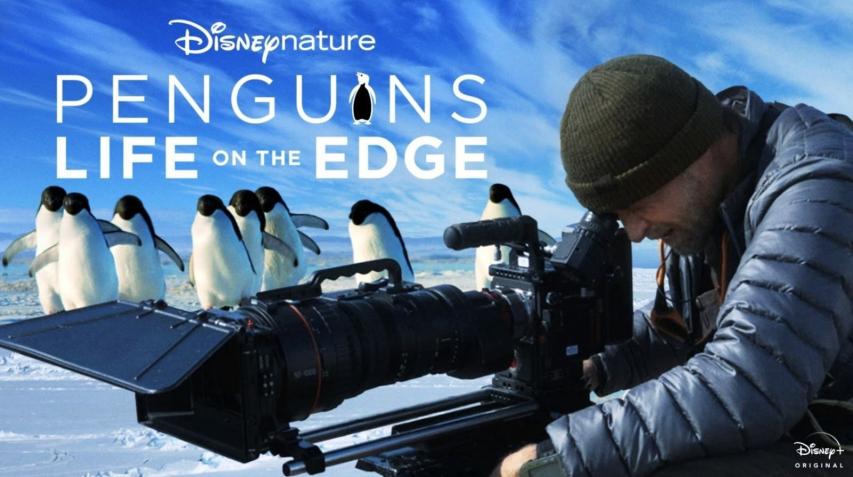 مشاهدة فيلم Penguins: Life on the Edge 2020 مترجم