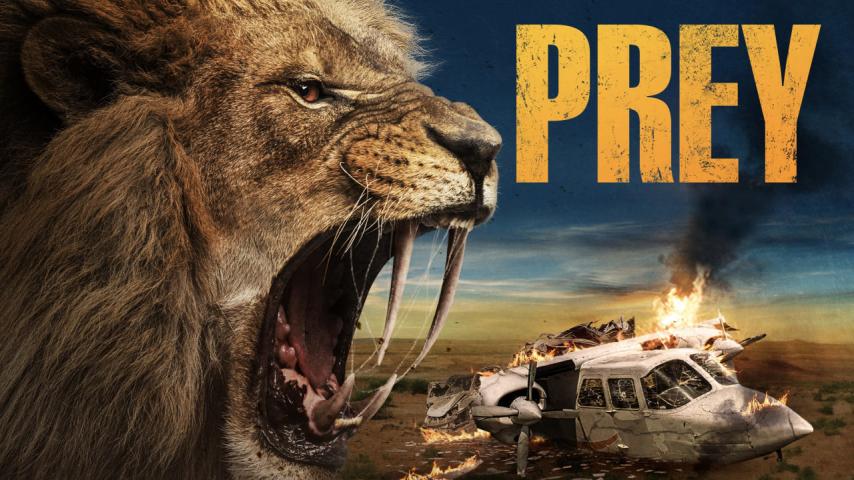 مشاهدة فيلم The Prey (2011) مترجم