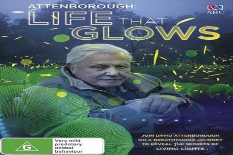 مشاهدة فيلم Attenboroughs Life That Glows (2016) مترجم