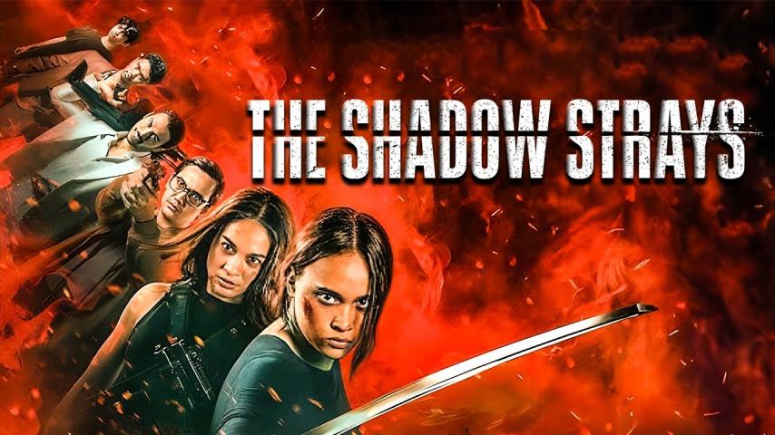 مشاهدة فيلم The Shadow Strays 2024 مترجم